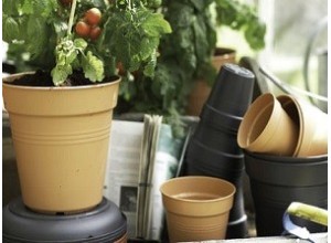 Γλάστρες - Ζαρντινιέρες - Κασπώ