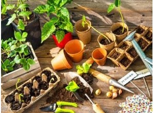 Καλλιέργεια Φυτών & Φροντίδα Κήπου